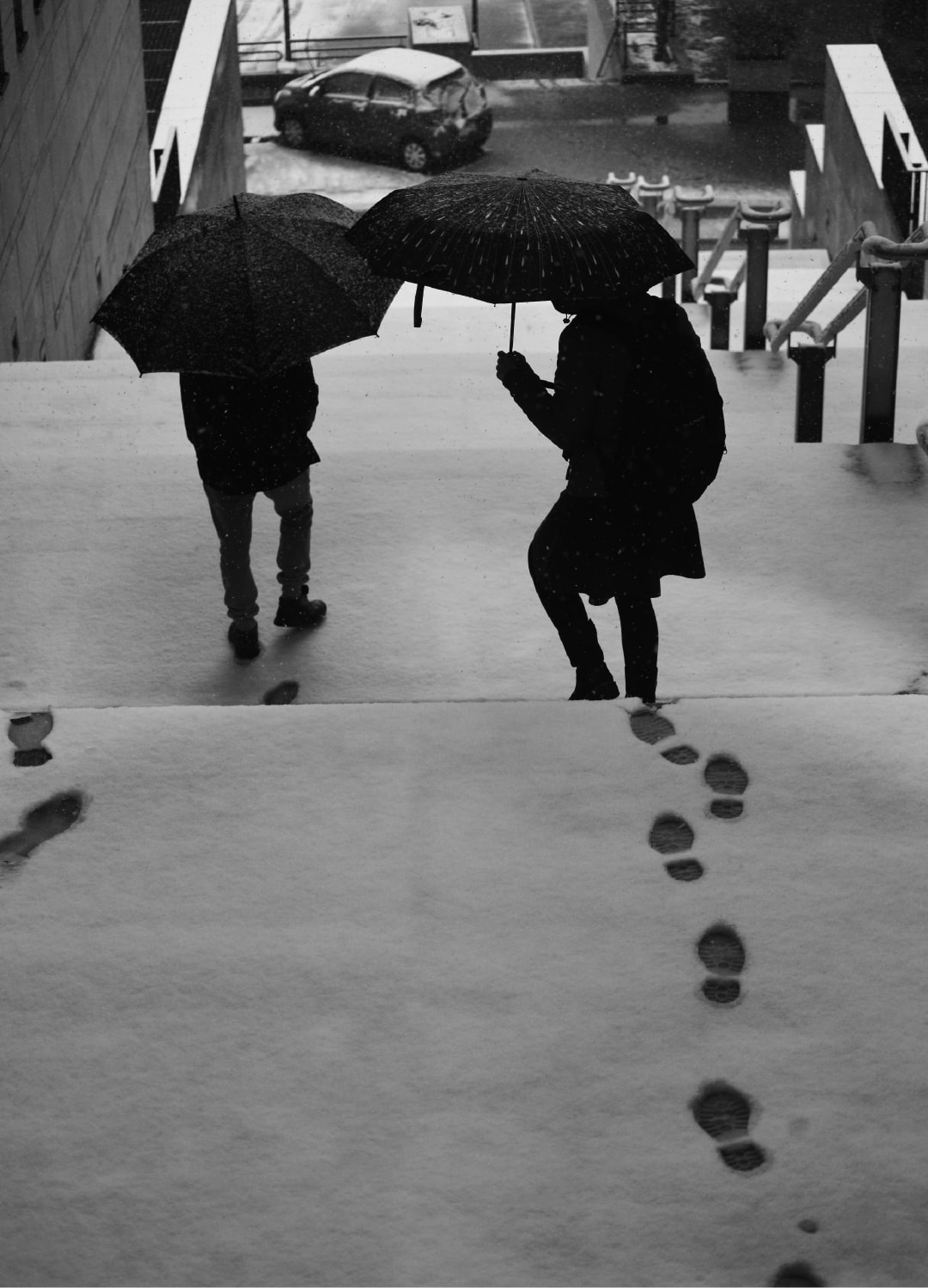 Cesar J Rodrigues - About Shadows and Eternety