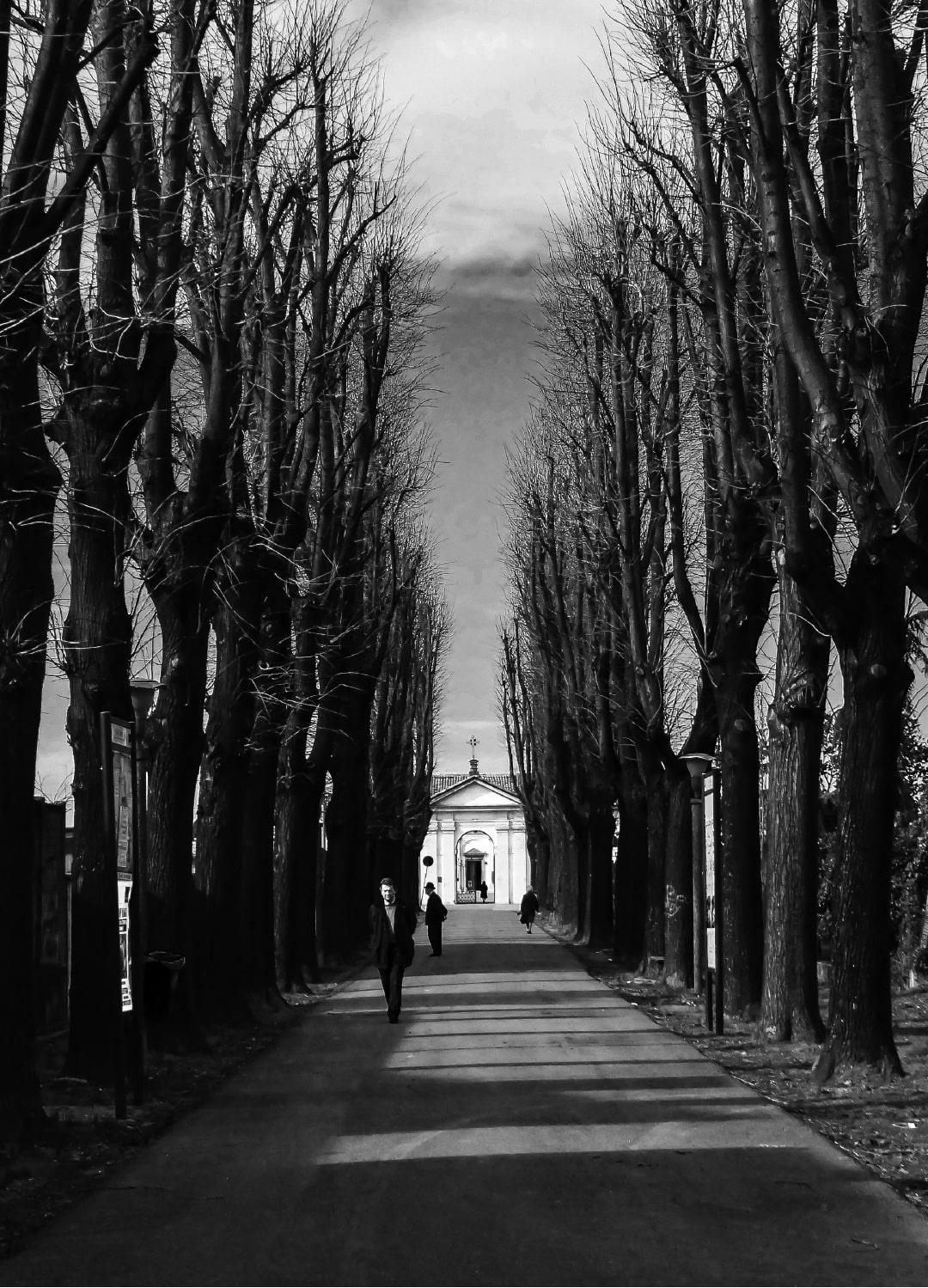 Cesar J Rodrigues - About Shadows and Eternety