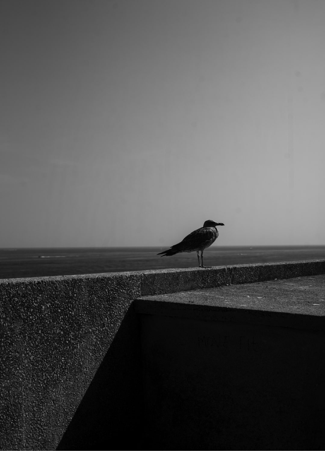 Cesar J Rodrigues - About Shadows and Eternety